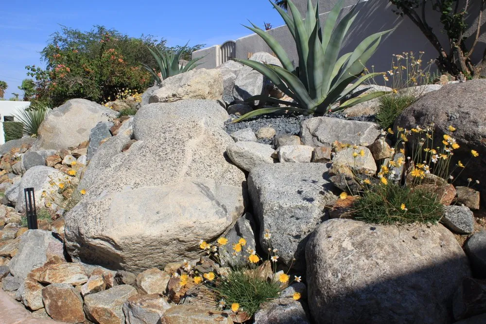 Expert outdoor landscaping for homes across Palm Springs, CA - Competition Green Landscape