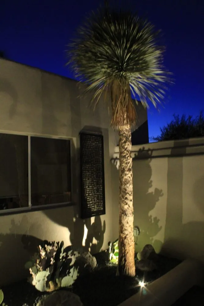 Custom garden landscaping for year-round maintenance in Palm Springs, CA by Competition Green Landscape