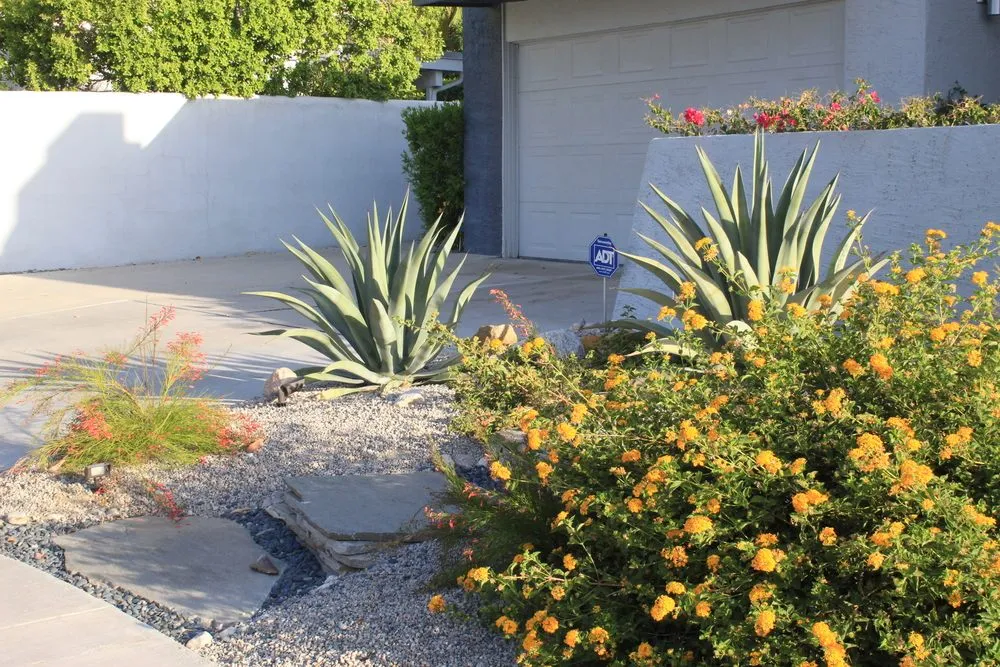 Expert outdoor landscaping for homes in Palm Springs, CA by Competition Green Landscape