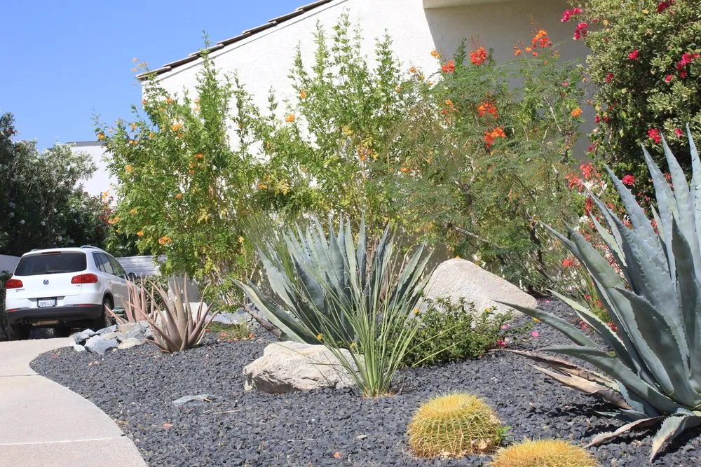 Trusted residential landscaping for year-round maintenance in Palm Springs, CA by Competition Green Landscape