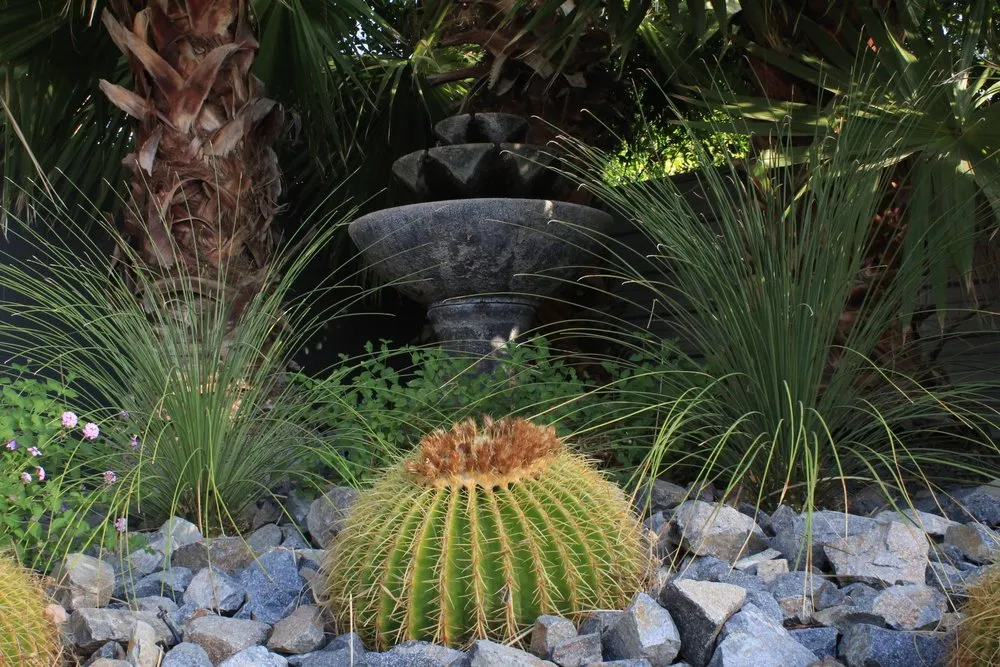 Reliable outdoor landscaping near you in Palm Springs, CA by Competition Green Landscape