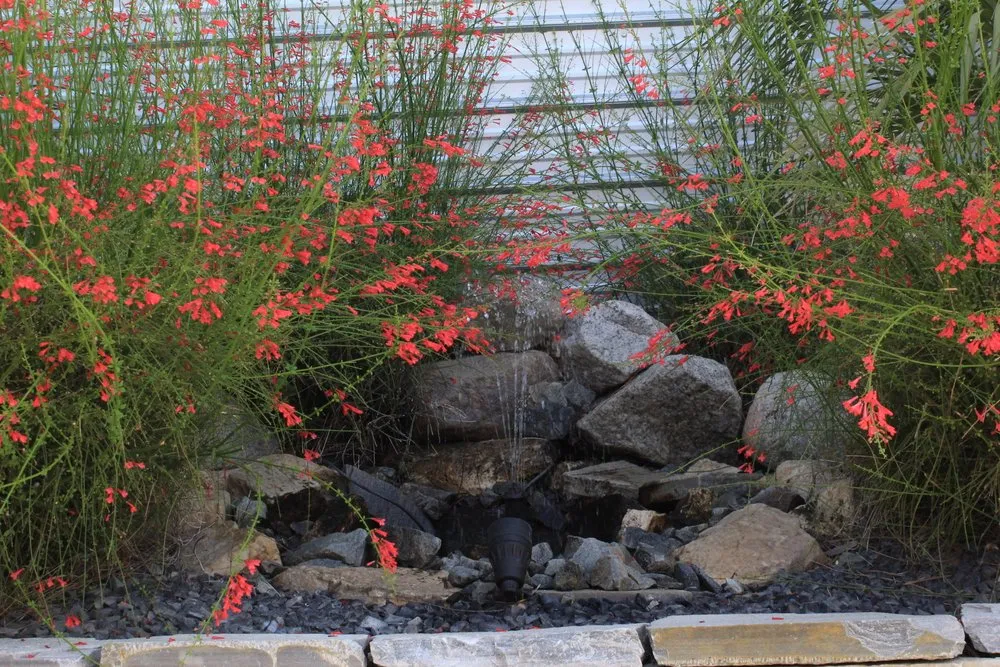 Top-rated garden landscaping for homes in Palm Springs, CA by Competition Green Landscape