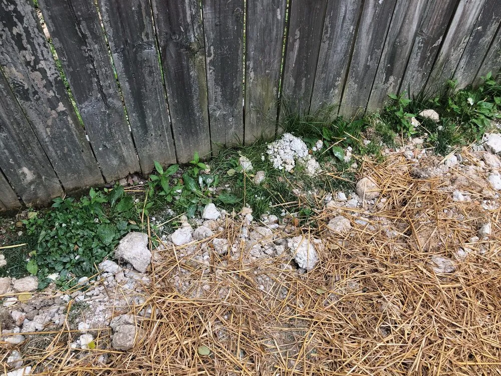 Top-rated landscape installation in Asheville, NC by Competitive Edge Landscaping