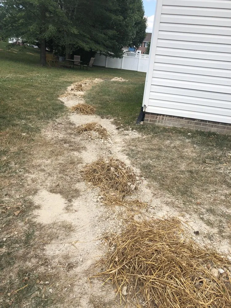 Top-rated landscape installation in Asheville, NC - Competitive Edge Landscaping