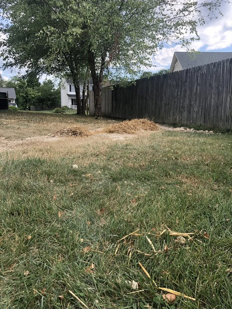Custom landscape installation in Asheville, NC by Competitive Edge Landscaping