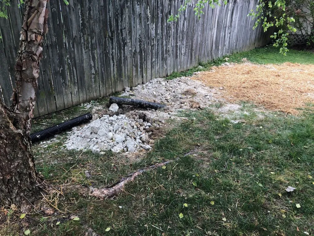 Reliable outdoor landscaping for year-round maintenance in Asheville, NC by Competitive Edge Landscaping