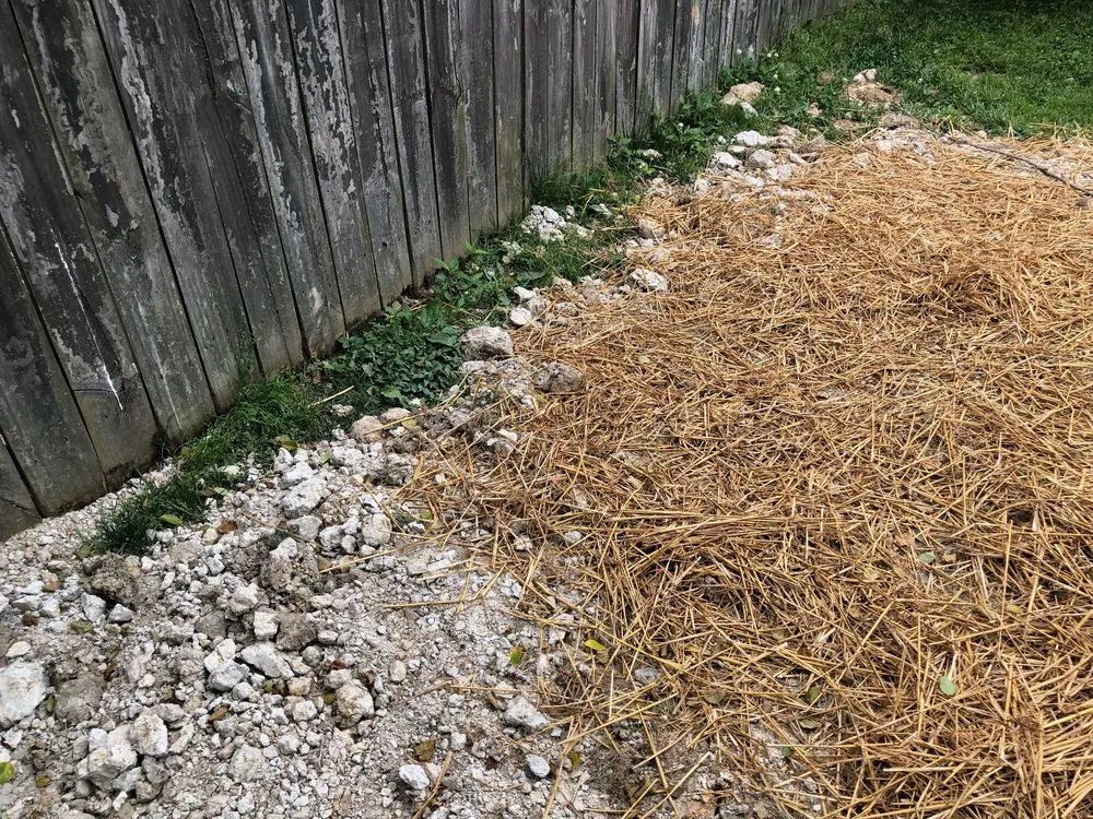 Trusted lawn care service in Asheville, NC - Competitive Edge Landscaping