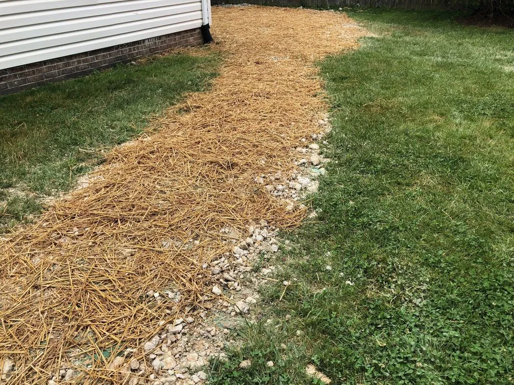 Trusted landscaping services for beautiful yards in Asheville, NC by Competitive Edge Landscaping