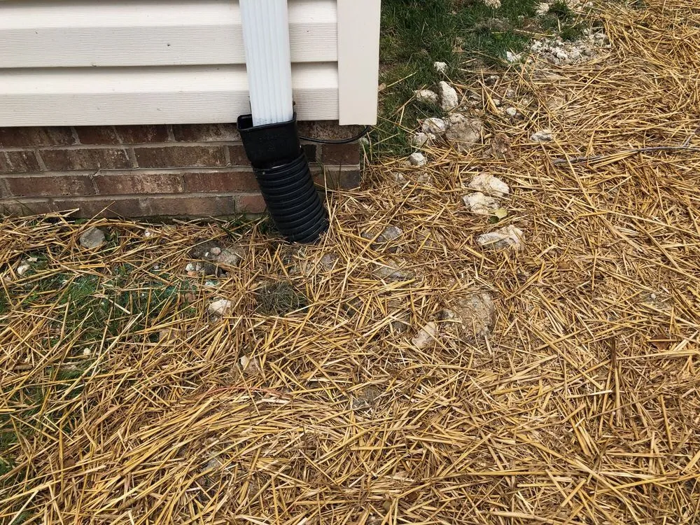 Reliable yard cleanup service in Asheville, NC - Competitive Edge Landscaping