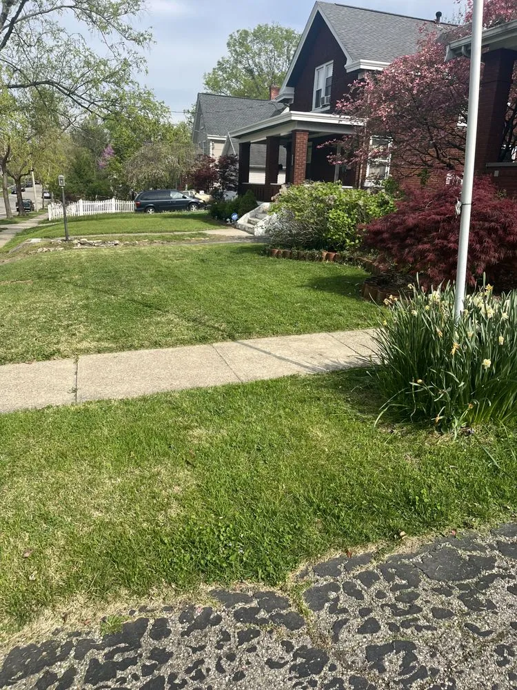 Expert yard cleanup service in Fort Thomas, KY - Competitive Edge Mowing