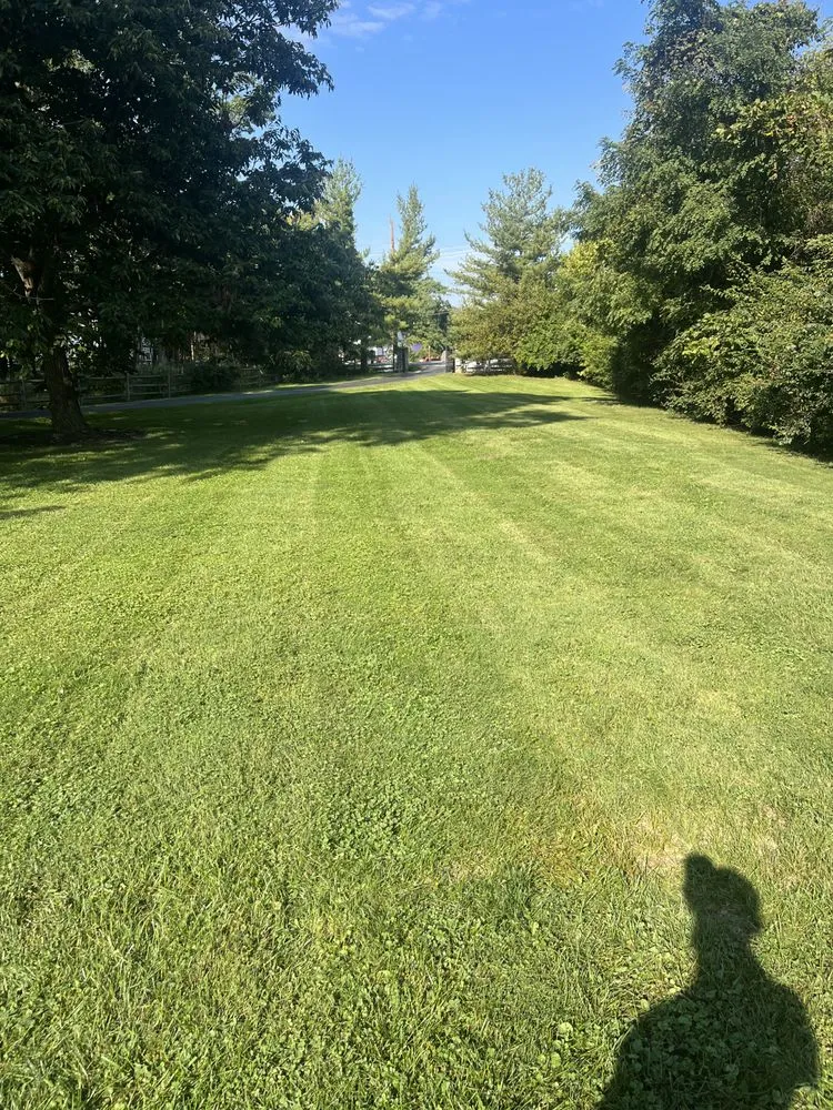 Professional landscape installation in Fort Thomas, KY by Competitive Edge Mowing