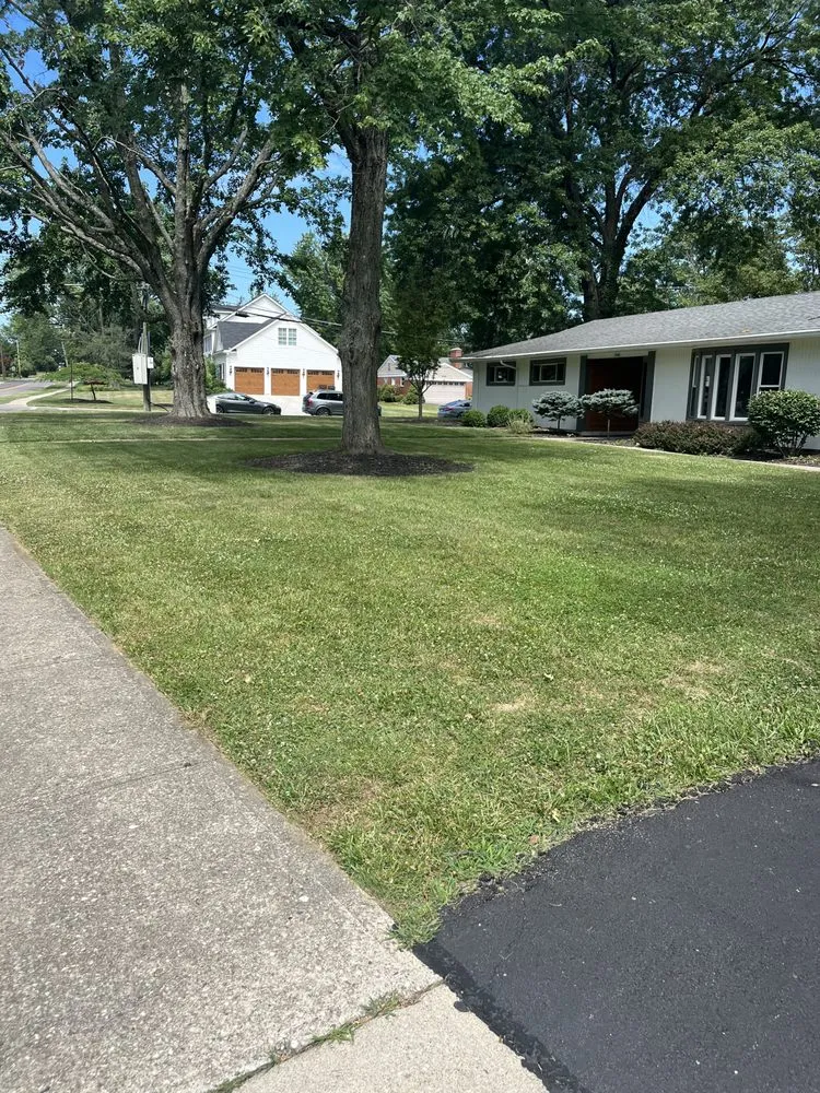 Professional landscape installation for homes across Fort Thomas, KY - Competitive Edge Mowing