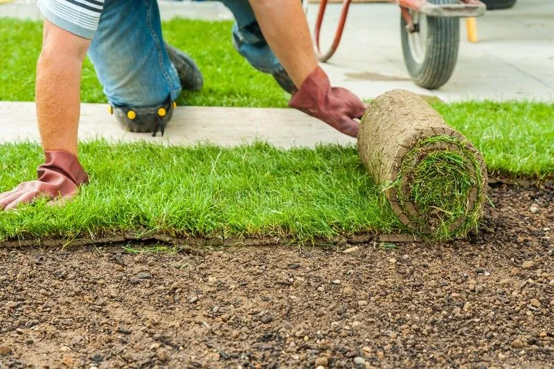 Reliable residential landscaping in Lancaster, CA - Competitive Landscaping