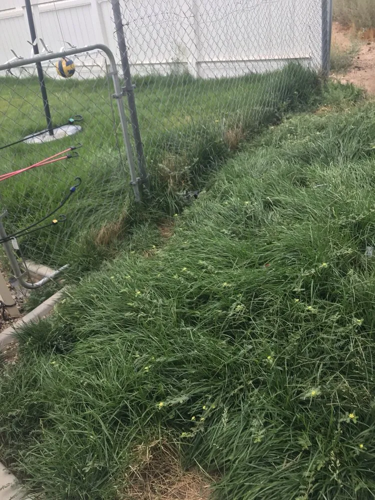 Trusted outdoor landscaping in Hesperia, CA by Competitive Lawn Services