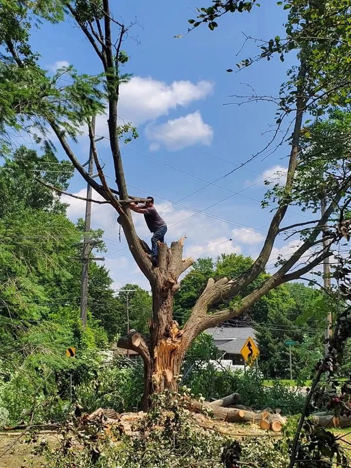 Expert yard maintenance for year-round maintenance across Waterford Township, MI - Complete Arbor and Landscaping