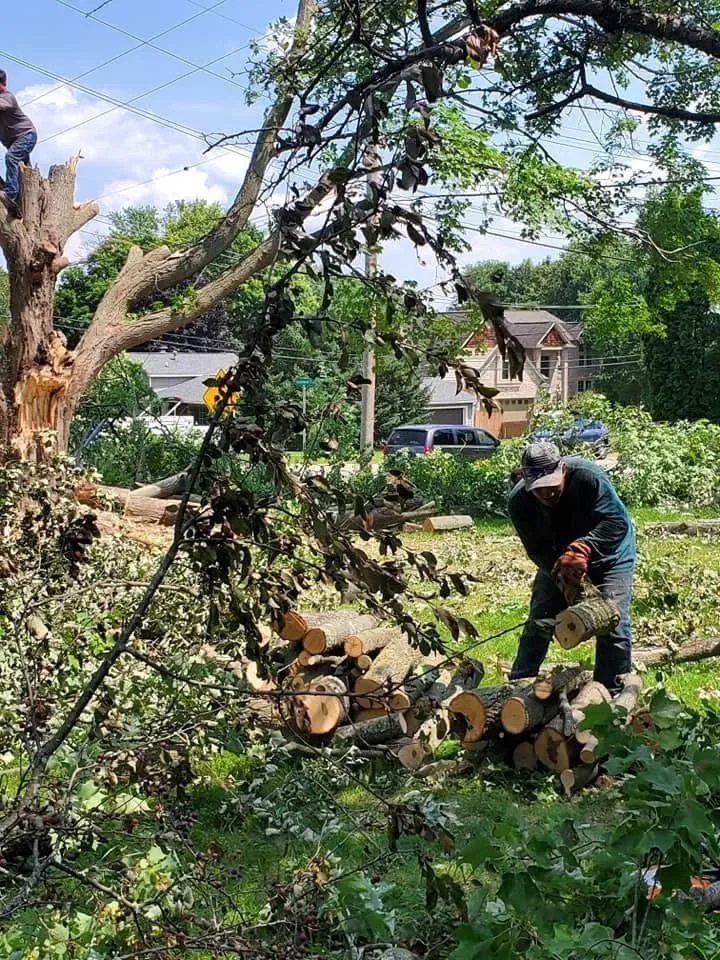 Custom landscape design experts serving Waterford Township, MI - Complete Arbor and Landscaping