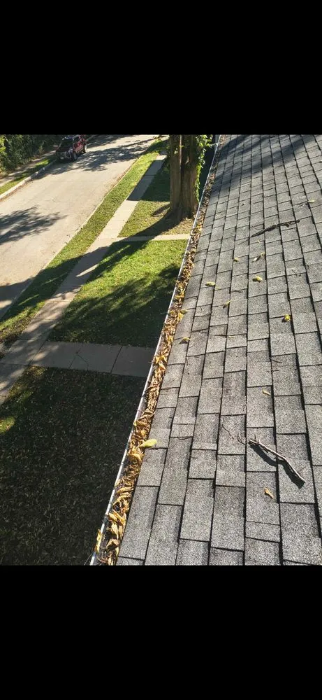 Reliable lawn mowing service in Zwingle, IA by Complete clean and outdoor services