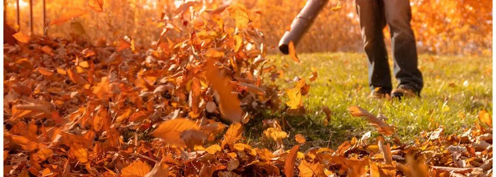 Top-rated lawn care service in Laconia, NH by Complete Cleanouts & Property Services