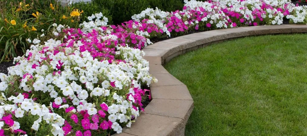 Local outdoor landscaping in Laconia, NH by Complete Cleanouts & Property Services