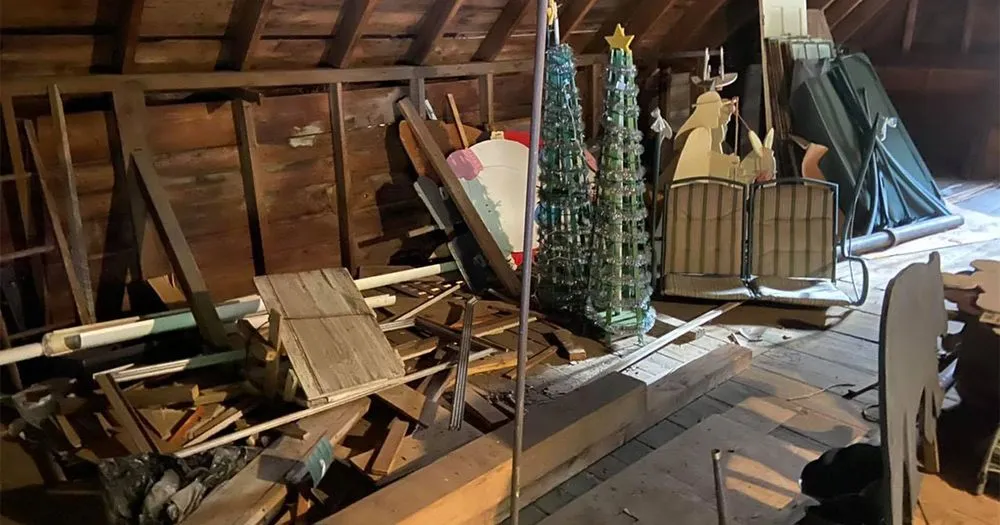 Professional landscape installation in Laconia, NH - Complete Cleanouts & Property Services