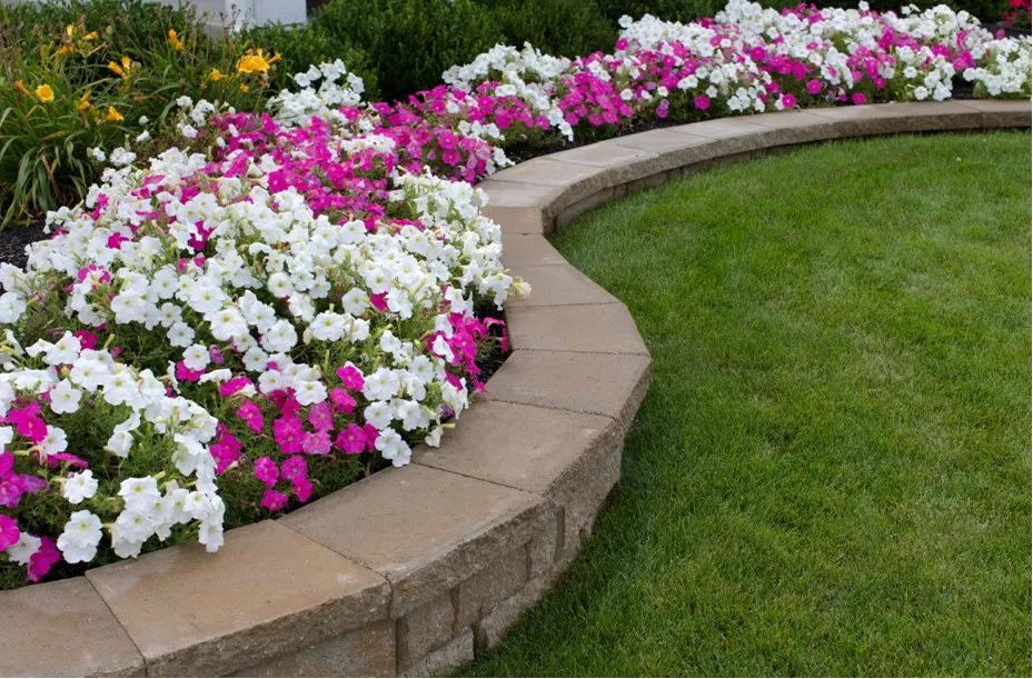 Top-rated yard maintenance in Laconia, NH by Complete Cleanouts & Property Services