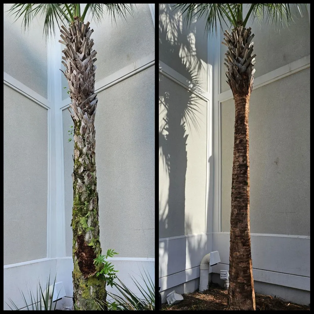 Custom lawn care service for beautiful yards in Panama City Beach, FL by Complete Coastal Solutions