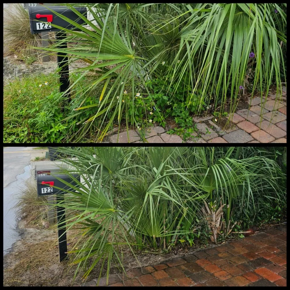 Expert lawn care service experts serving Panama City Beach, FL - Complete Coastal Solutions