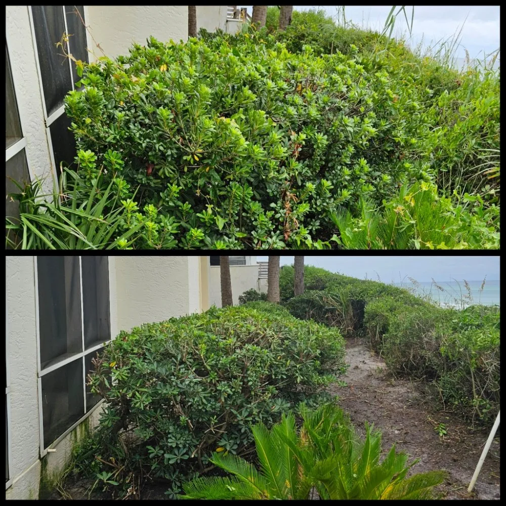 Trusted garden landscaping for homes in Panama City Beach, FL by Complete Coastal Solutions