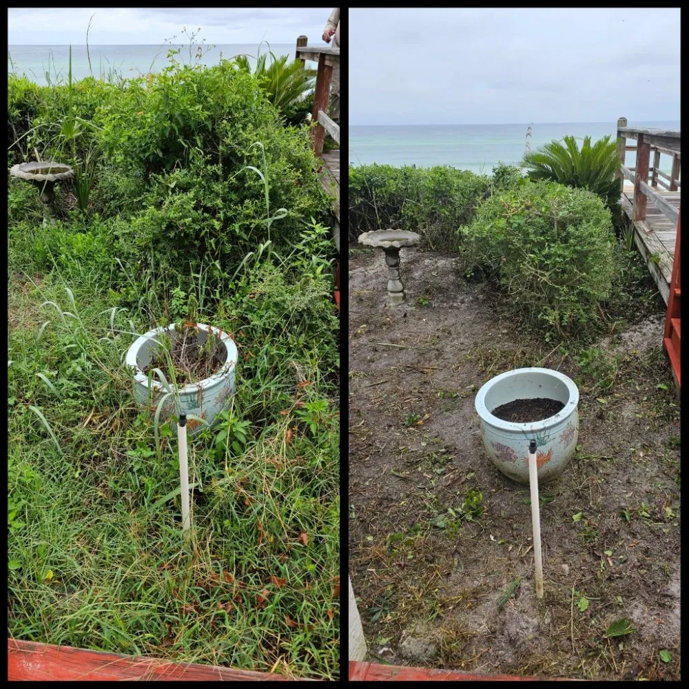 Professional garden landscaping experts serving Panama City Beach, FL - Complete Coastal Solutions