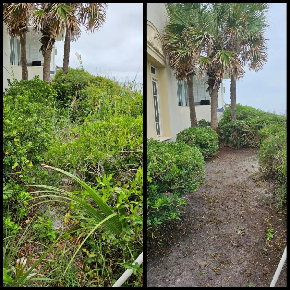 Reliable garden landscaping experts serving Panama City Beach, FL - Complete Coastal Solutions