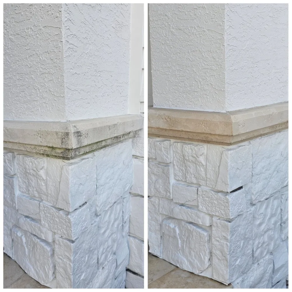 Local outdoor landscaping in Panama City Beach, FL - Complete Coastal Solutions