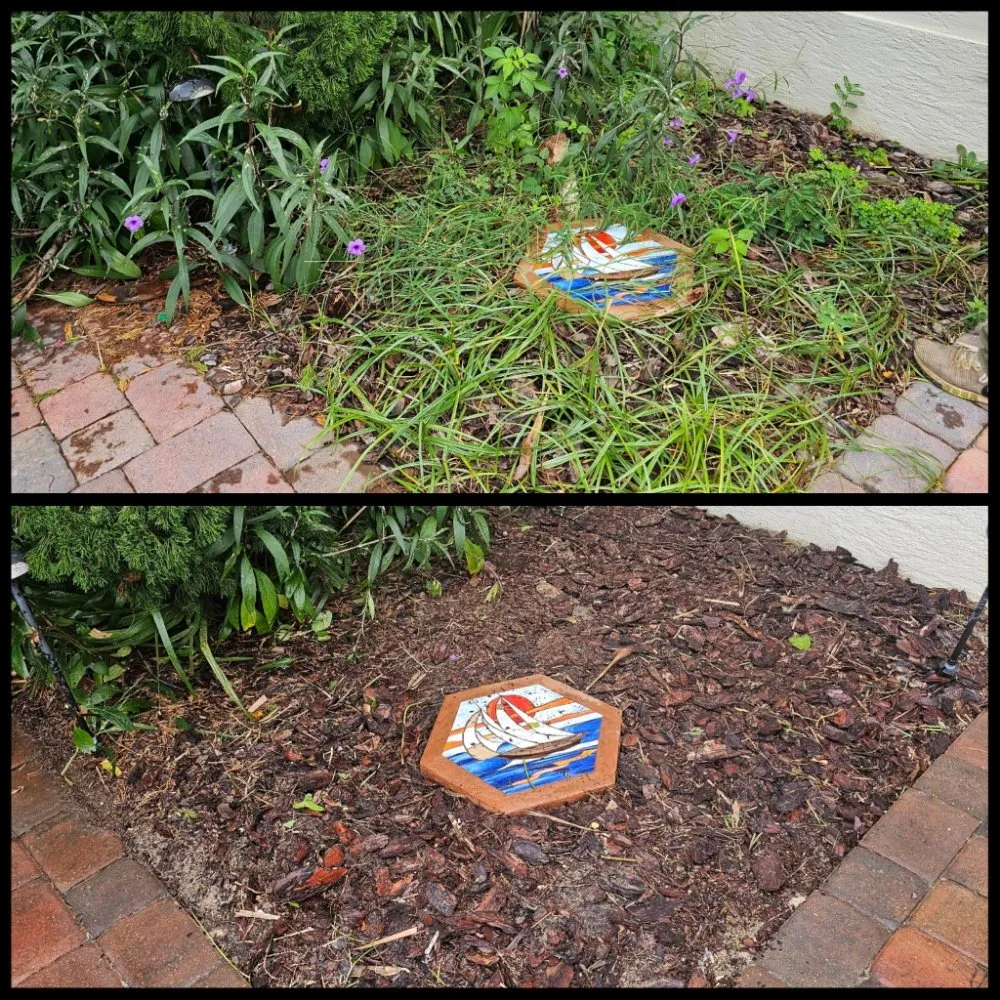 Affordable yard maintenance experts serving Panama City Beach, FL - Complete Coastal Solutions