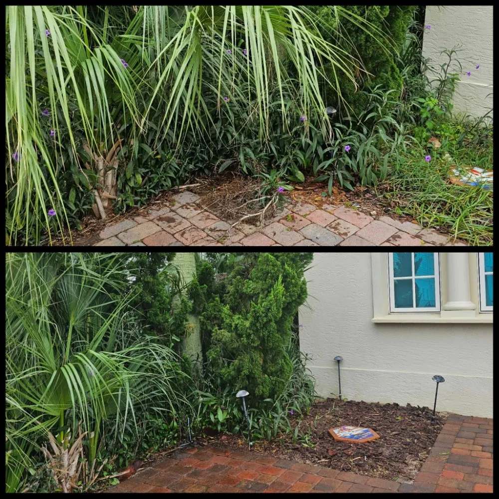 Expert outdoor landscaping in Panama City Beach, FL - Complete Coastal Solutions