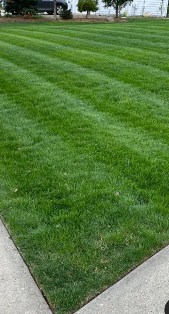 Affordable yard maintenance in Port Richey, FL by Complete Cosmetic Care Services