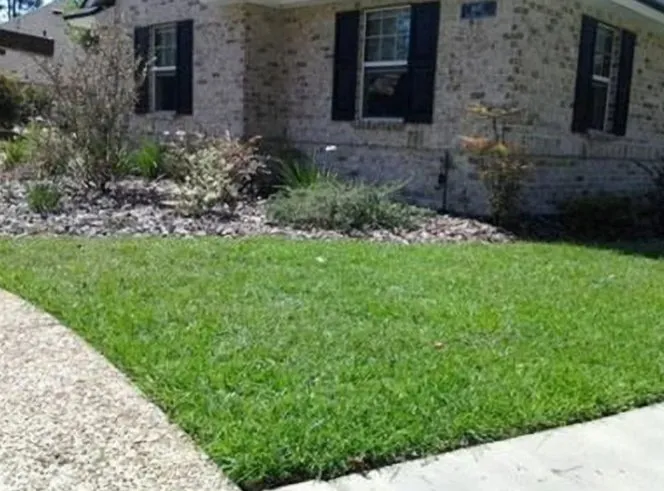 Professional outdoor landscaping for beautiful yards across Port Richey, FL - Complete Cosmetic Care Services