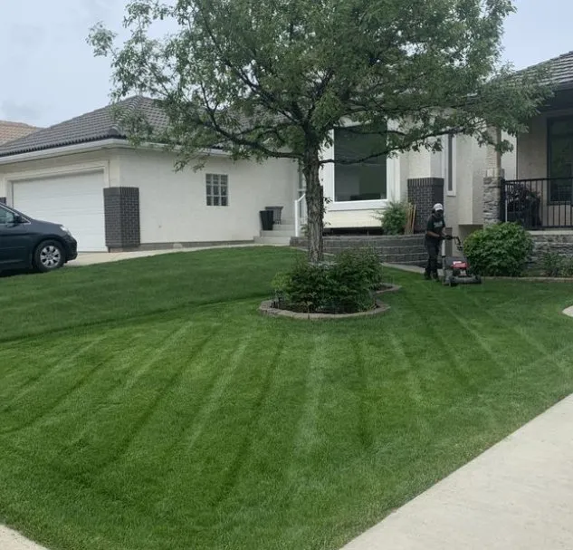 Expert landscape design in Port Richey, FL - Complete Cosmetic Care Services