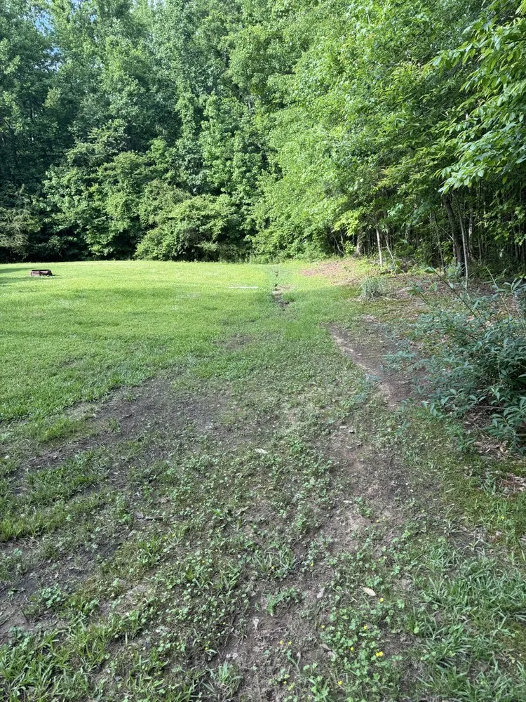 Custom residential landscaping for beautiful yards across Newnan, GA - Complete Curb Appeal