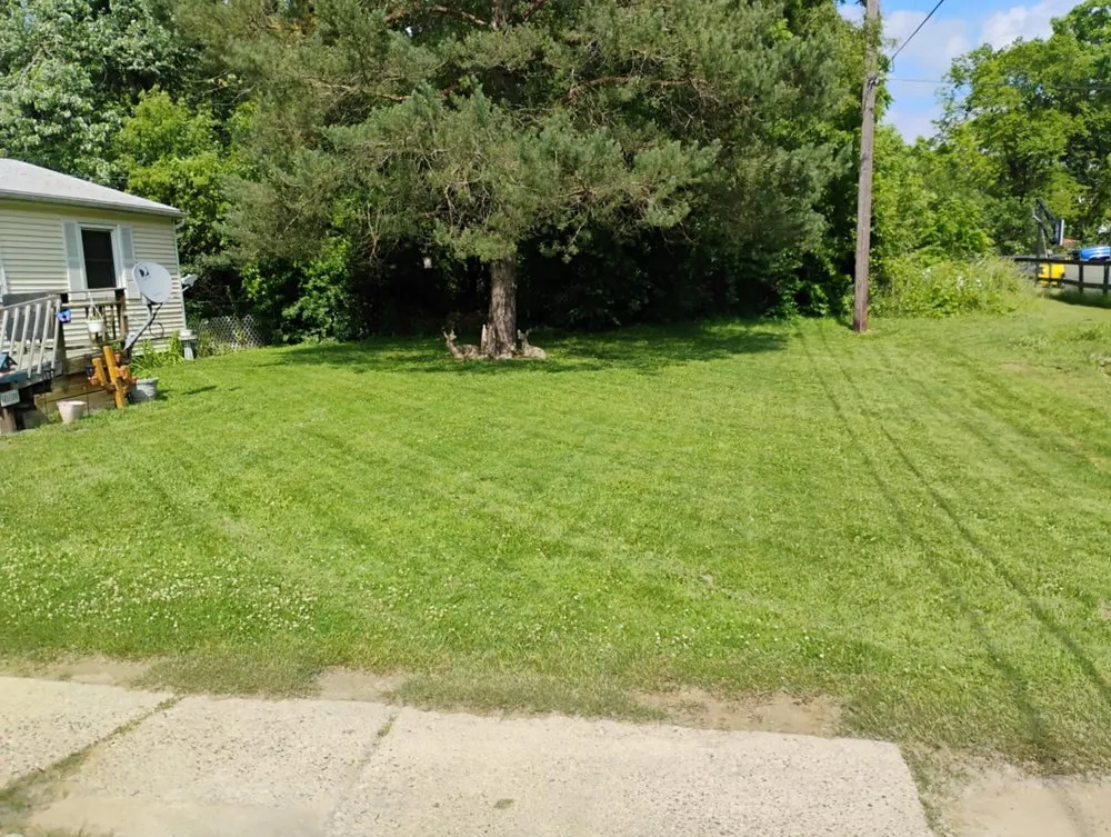 Custom lawn care service experts serving Mount Morris, MI - Complete Elite Exteriors