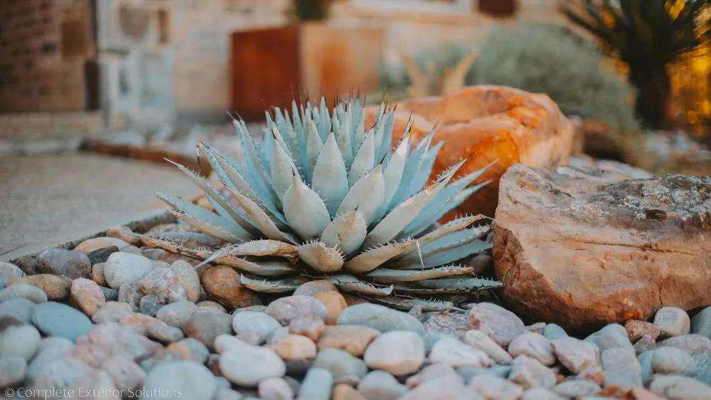 Trusted lawn care service in Flower Mound, TX - Complete Exterior Solutions