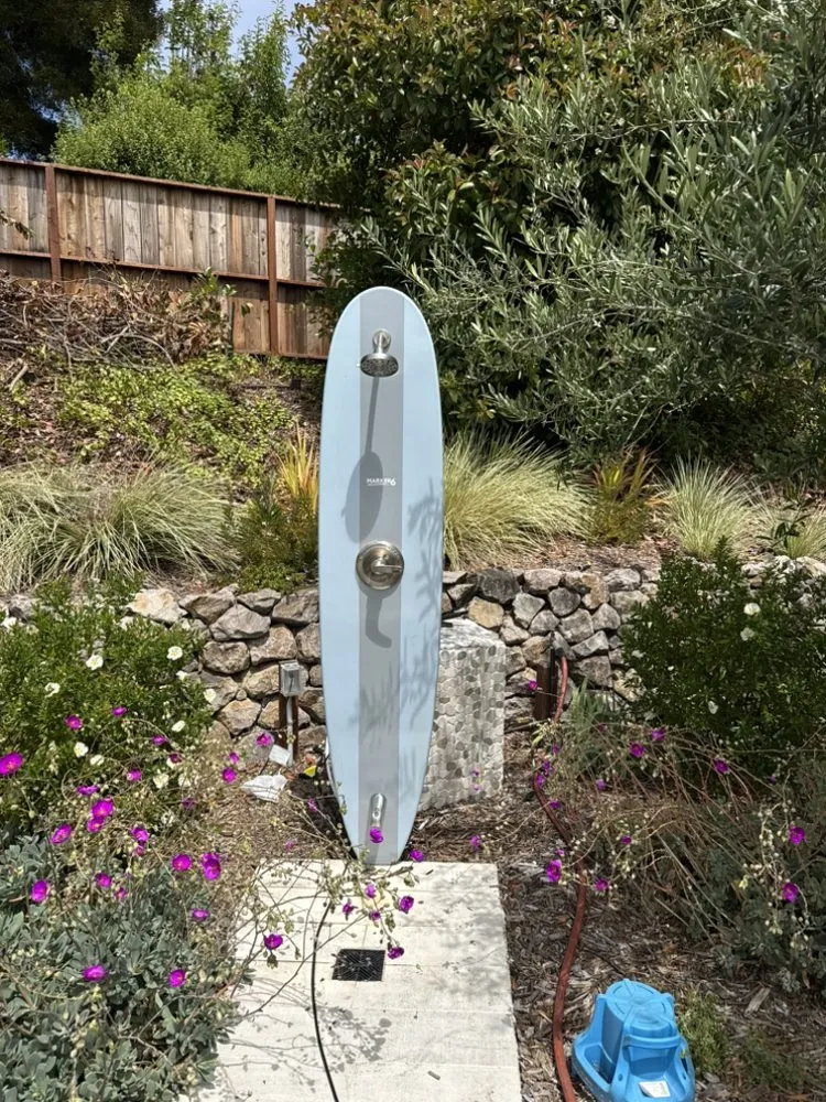 Local yard cleanup service for year-round maintenance in San Mateo, CA by Complete Garden and Landscaping