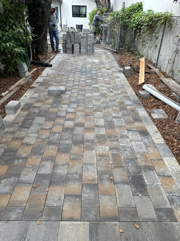 Reliable lawn mowing service near you across San Mateo, CA - Complete Garden and Landscaping