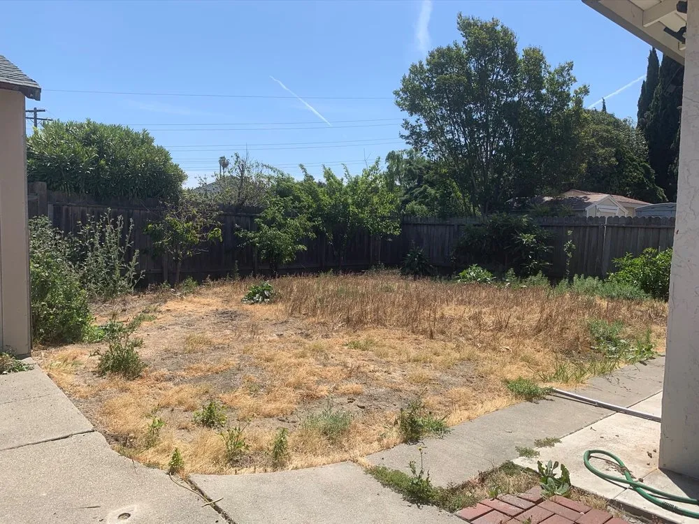 Professional lawn care service for residential properties across San Mateo, CA - Complete Garden and Landscaping