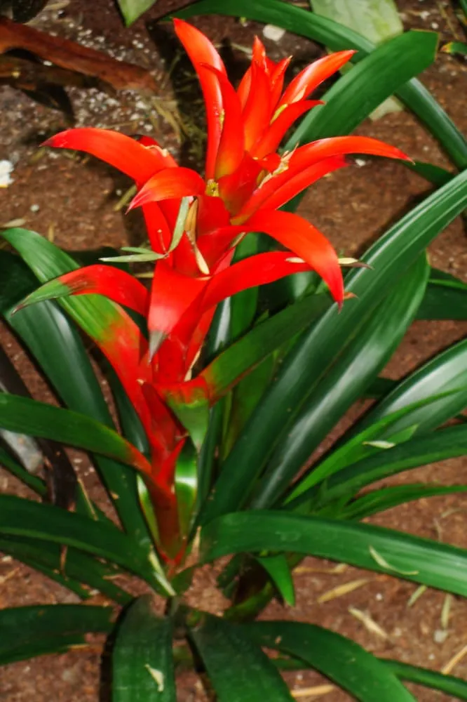 Affordable landscape design experts serving Cincinnati, OH - Complete Ground Solutions