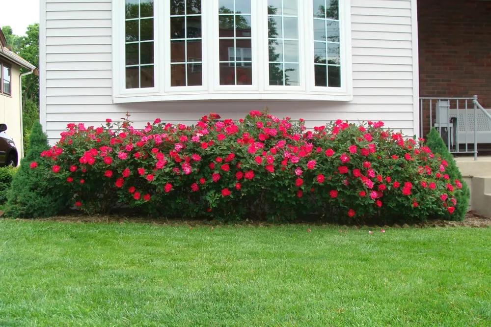 Top-rated garden landscaping in Cincinnati, OH by Complete Ground Solutions