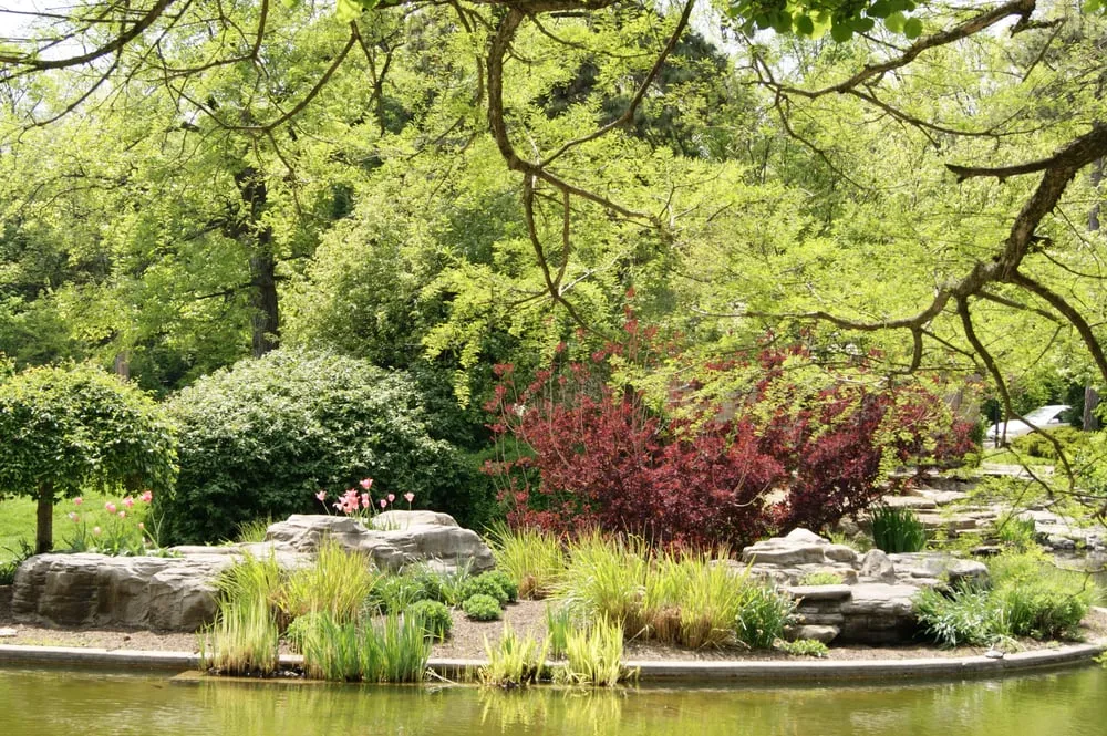 Trusted landscape installation in Cincinnati, OH by Complete Ground Solutions