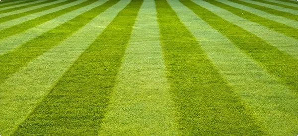 Reliable yard maintenance for residential properties in Cincinnati, OH by Complete Ground Solutions