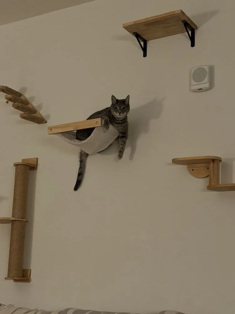 Top-rated residential landscaping for beautiful yards across Denver, CO - Complete Handy Care