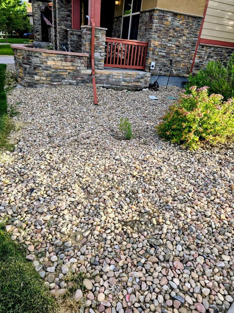 Affordable lawn care service in Denver, CO by Complete Handy Care