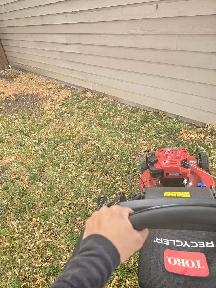 Trusted landscaping services for outdoor upgrades across Denver, CO - Complete Handy Care