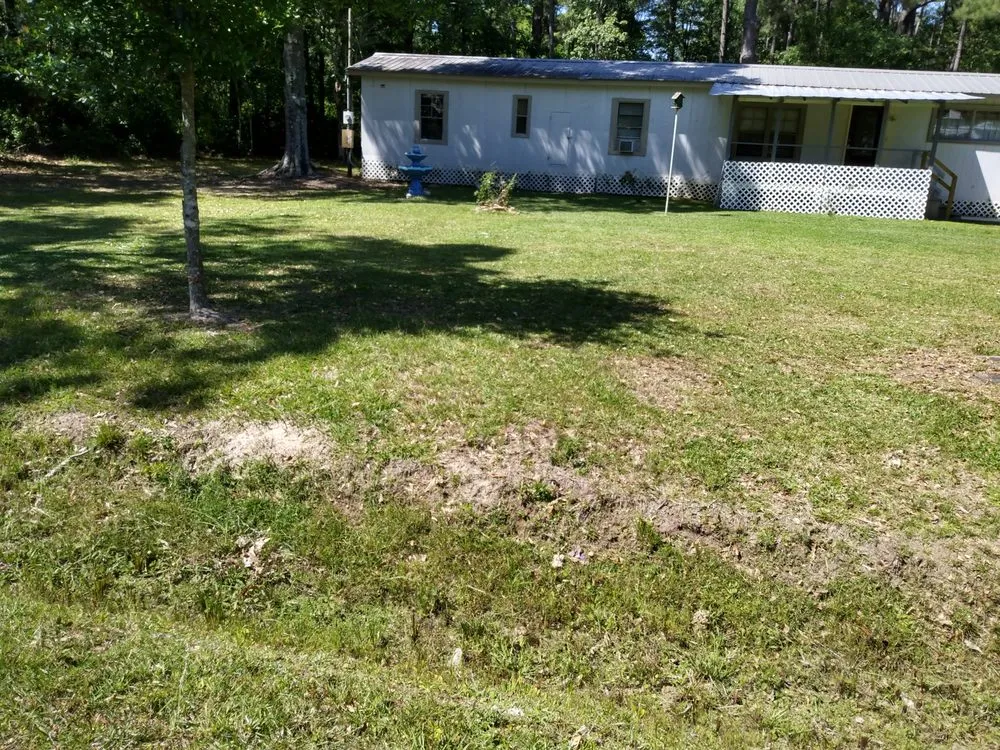 Expert landscape installation experts serving Covington, LA - Complete Home Services